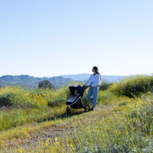Bumbleride 2024 Indie All Terrain Stroller - Image 10